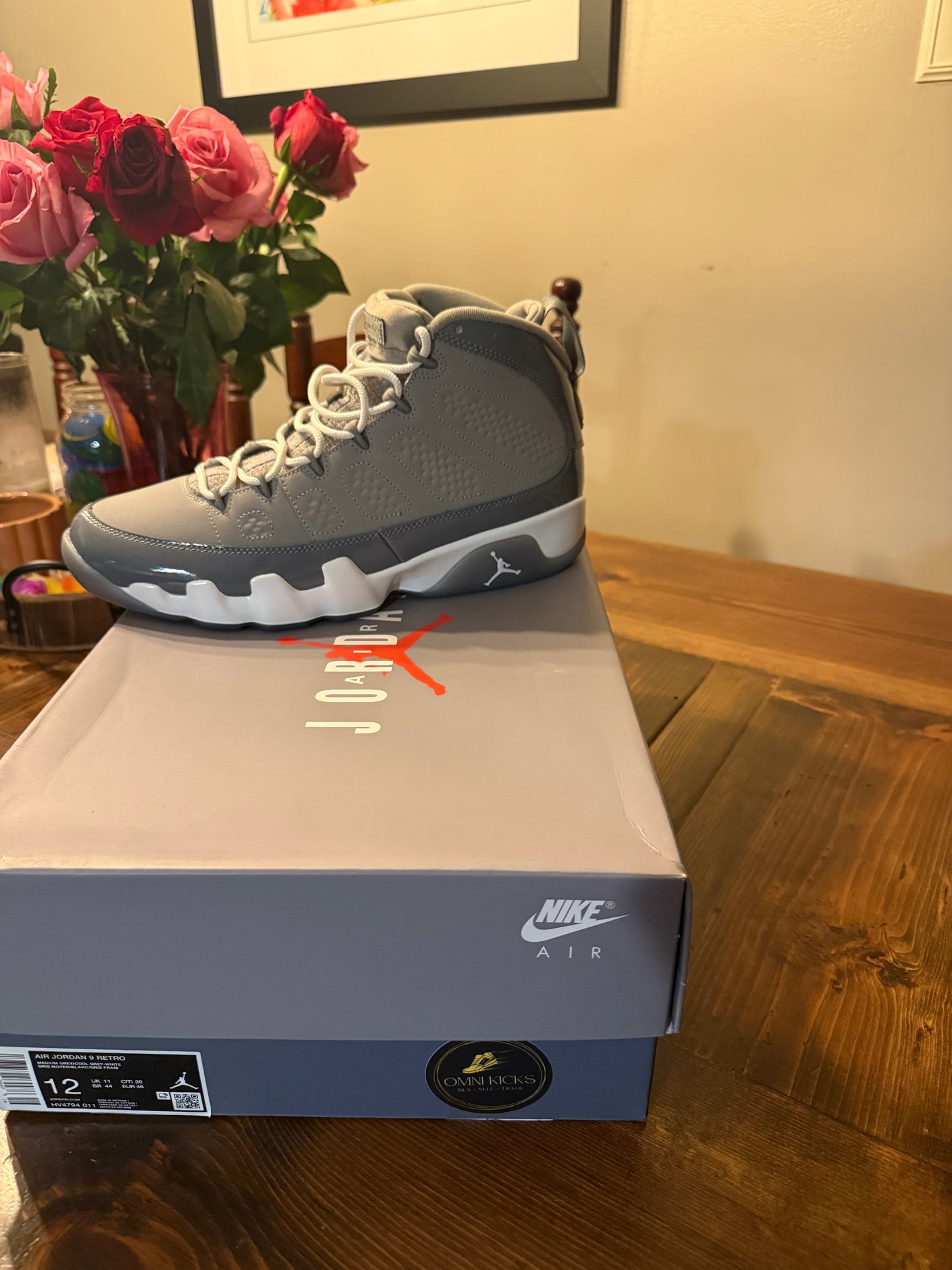Jordan Cool Grey 9s