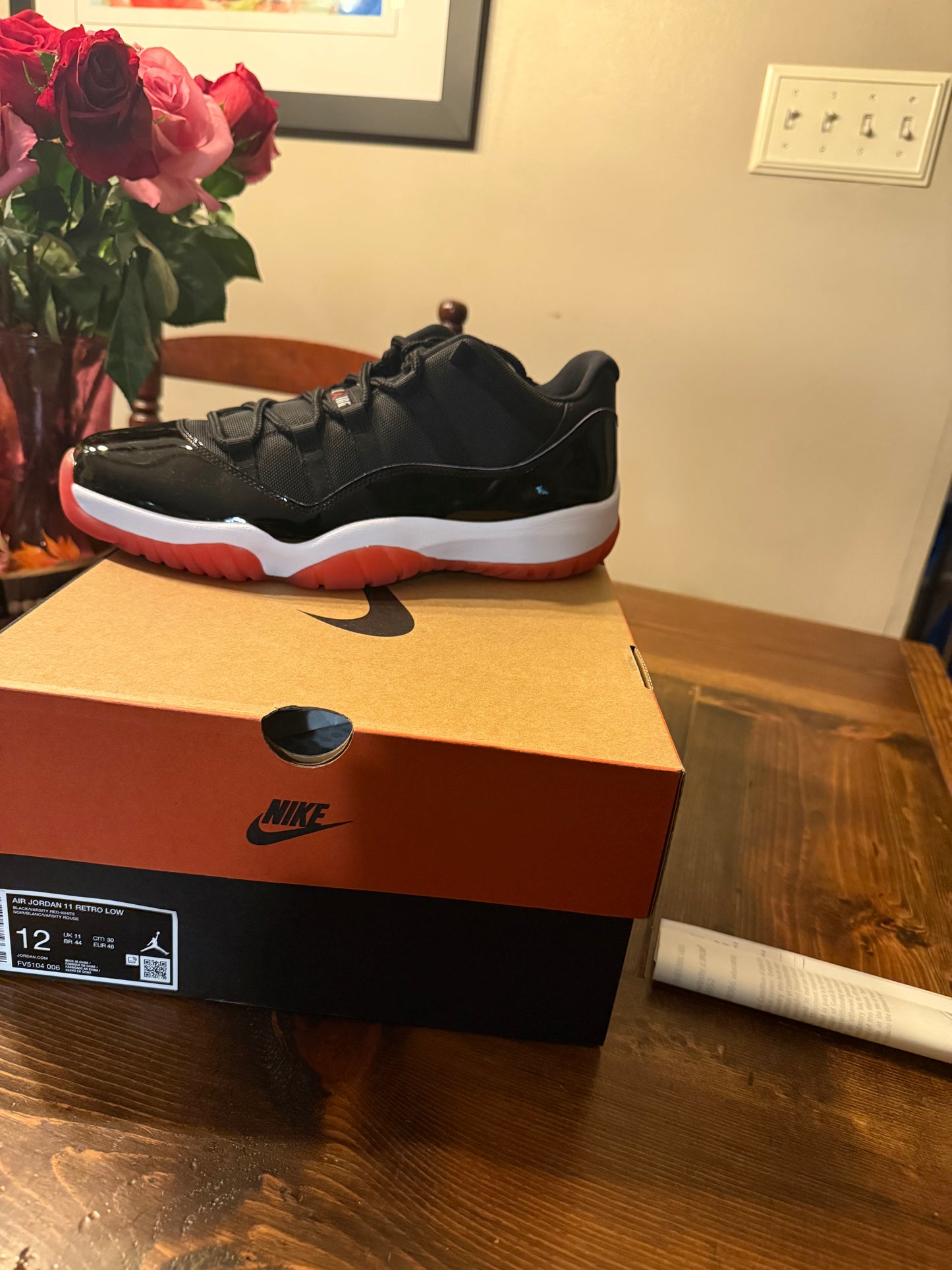 Jordan 11 Bred Lows